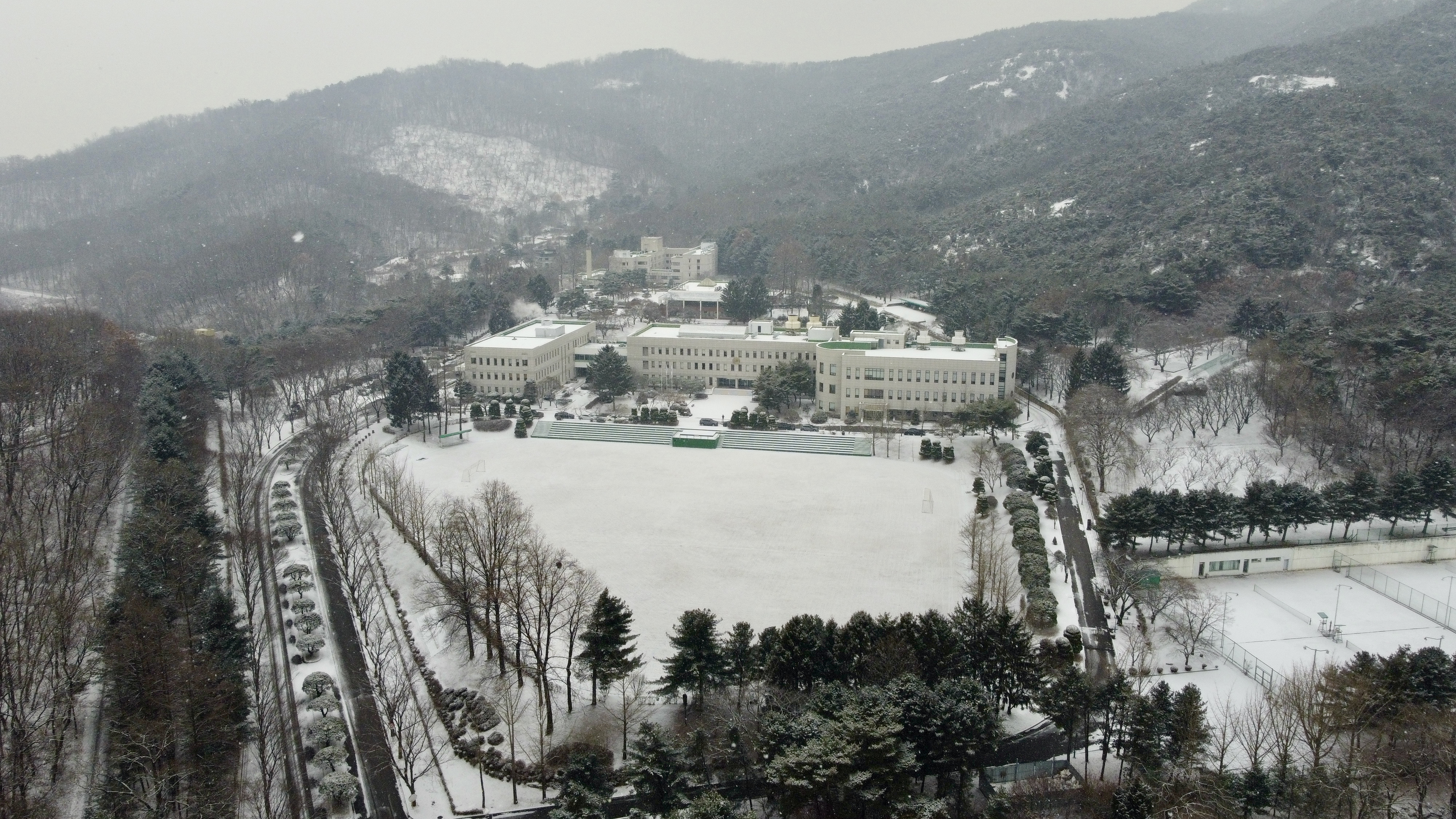 NHI is covered by snow today. Wish everyone is enjoying the amazing view of NHI while snowing.